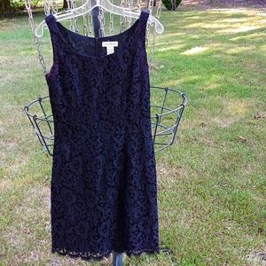 Ann Taylor petite dress 4P